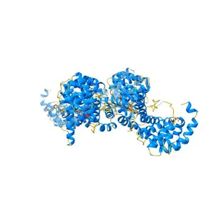 Interction of plakoglobin and beta-catenin with desmosomal cadherins