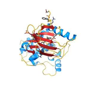The Complex of wild-type B-RAF with Pyrazolo pyrimidine inhibitor