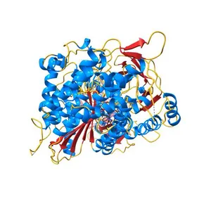 Omecamtiv Mercarbil binding site on the Human Beta-Cardiac Myosin Motor Domain