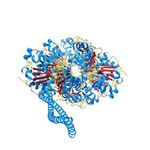 Ca2+-induced Movement of Tropomyosin on Native Cardiac Thin Filaments - "Closed" state