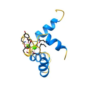 NMR solution structure of the Ca2+-Calmodulin C-terminal domain in a complex with a peptide (NSCaTE) from the L-type Voltage-Gated Calcium Channel alpha1C subunit
