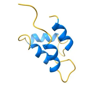Solution structure of Magnesium-bound form of calmodulin C-domain E104D/E140D mutant