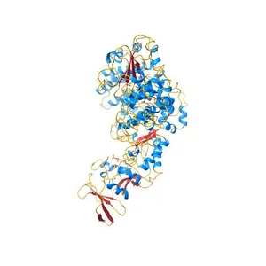 Crystal structure of anthrax edema factor (EF) in complex with calmodulin and pyrophosphate