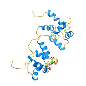 Structure of the complex between calmodulin and the binding domain of HIV-1 matrix protein