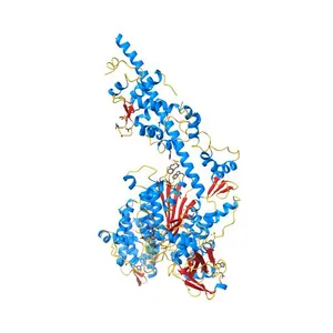 Crystal structure of myosin X motor domain with 2IQ motifs in pre-powerstroke state