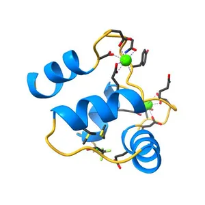 Halothane binds to druggable sites in calcium-calmodulin: Solution structure of halothane-CaM C-terminal domain