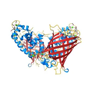 Crystal Structure of Dimeric GCaMP2-LIA(linker 1)