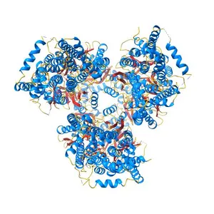 X-ray crystal structure of a heavy metal efflux pump, crystal form I