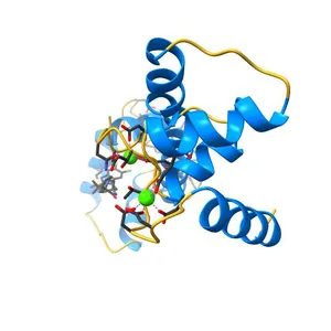 Calmodulin in complex with malbrancheamide