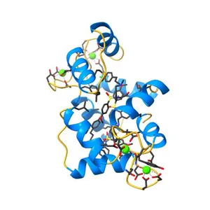 Structure of calmodulin with KN93