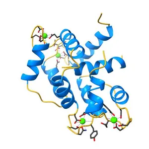 Solution structure of Ca2+/calmodulin complexed with a peptide representing the calmodulin-binding domain of L-selectin