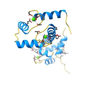 Crystal Structure of Calmodulin Binding Domain of Orai1 in Complex with Ca2+/Calmodulin Displays a Unique Binding Mode