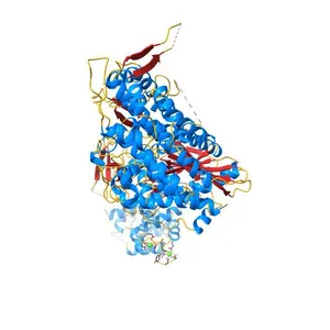 Crystal structure of mouse myosin-5a in complex with calcium-bound calmodulin