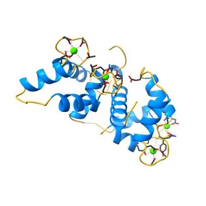 Crystal Structure of Calcium-loaded Calmodulin in complex with STRA6 CaMBP2-site peptide.