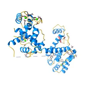 Structure of the T4Lnano fusion protein