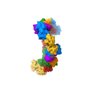 Cryo-EM structure of full-length Myosin Va in the autoinhibited state