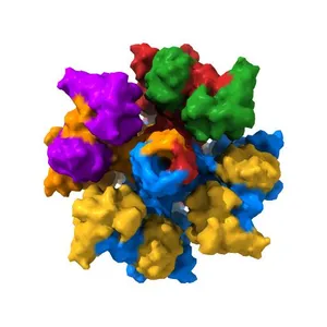 human KCNQ2-CaM-Ebio1-S1 complex in the presence of PIP2