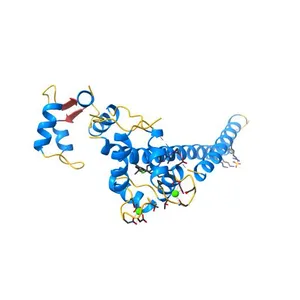A positive allosteric modulator binding pocket in SK2 ion channels is shared by Riluzole and CyPPA