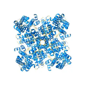 CryoEM structure of Xenopus KCNQ1 channel