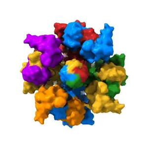 Human KCNQ2-CaM in complex with CBD
