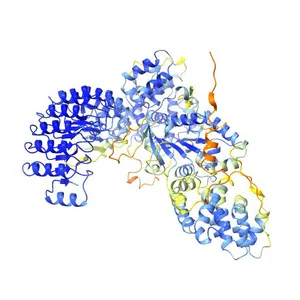 Nucleotide-binding oligomerization domain-containing protein 2