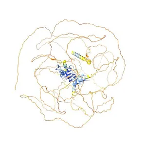 RNA-binding protein 20