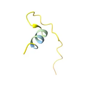 Truncated RNA binding motif protein 20
