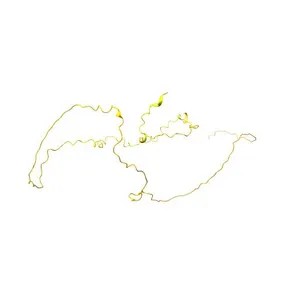 RNA binding motif protein 20