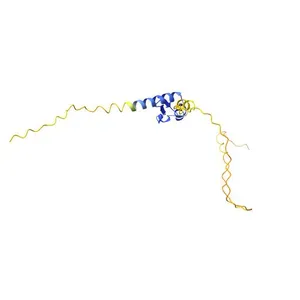 RBM20 protein