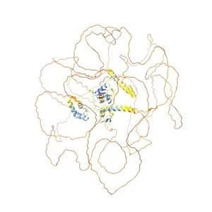 RNA-binding protein 20 isoform X3
