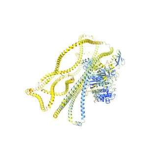 Myosin-6