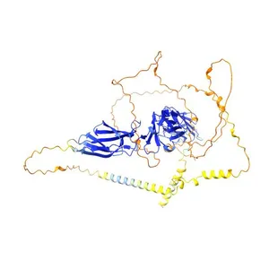 Interleukin-23 receptor