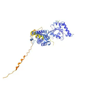 Immunity-related GTPase family M protein