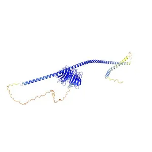 Autophagy-related protein 16-1