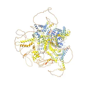 Voltage-dependent L-type calcium channel subunit alpha-1C