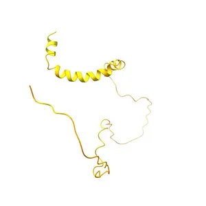 Voltage-dependent L-type calcium channel alpha 1C subunit