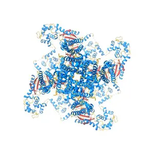 Single particle cryo-EM structure of the voltage-gated K+ channel Eag1 3-13 deletion mutant bound to calmodulin (conformation 2)