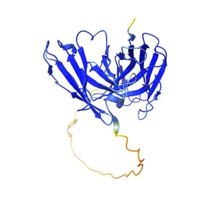 Anti-HIV-1 reverse transcriptase single-chain variable