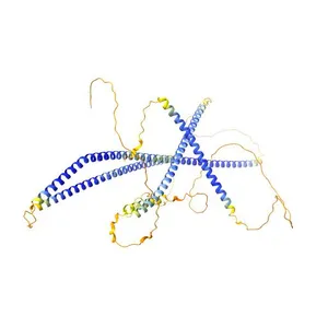 TNFAIP3-interacting protein 1