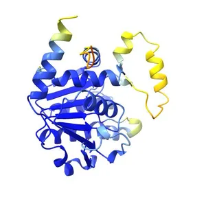 Oxidoreductase HTATIP2