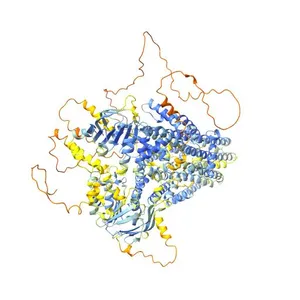 Cystic fibrosis transmembrane conductance regulator