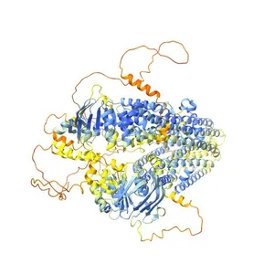 Cystic fibrosis transmembrane conductance regulator