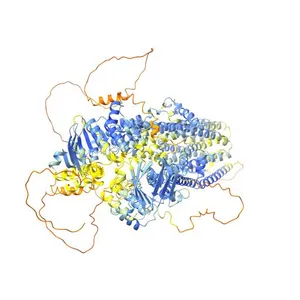 Cystic fibrosis transmembrane conductance regulator