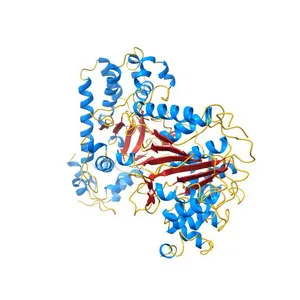 Crystal structure of Chromobacterium violaceum effector CopC in complex with host calmodulin and caspase-7