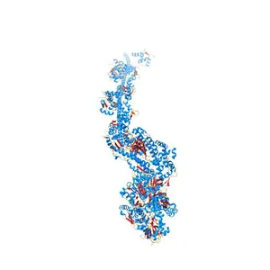 Cryo-EM structure of actomyosin-5a-S1 with the full-length lever (nucleotide free)