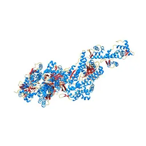 Cryo-EM structure of myosin-1c bound to F-actin in the ADP-A state