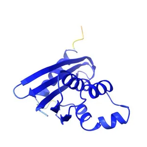 Ribonuclease H