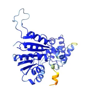 Ribosomal RNA small subunit methyltransferase H