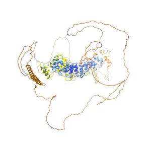 ankyrin repeat and KH domain-containing protein mask