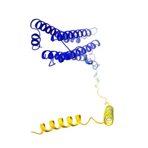 Ferritin
